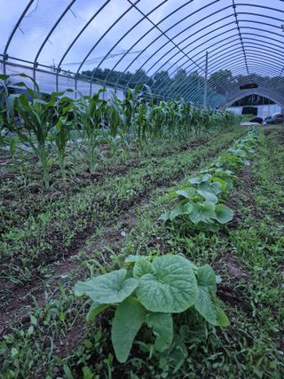 이정민님의 자유주제 · 자유게시판 작성글 사진