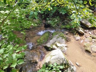 이현상님의 자유주제 · 자유게시판 작성글 사진