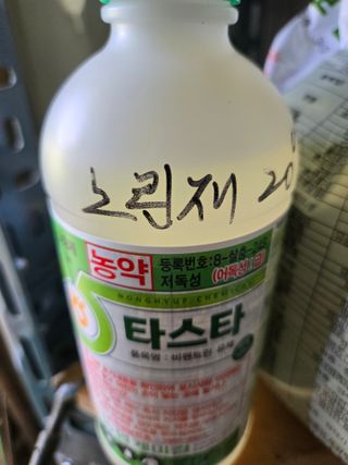 루첸님의 자유주제 · 자유게시판 작성글 사진