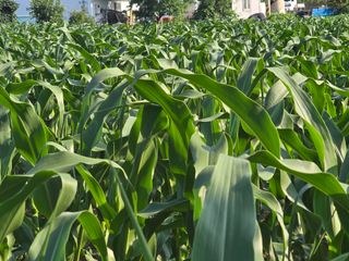 장관덕님의 자유주제 · 사진전 작성글 사진