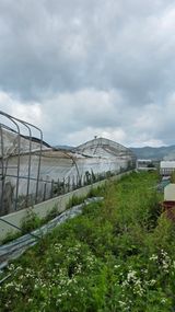 팜모닝 자유주제·자유게시판 게시글 이미지