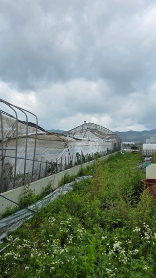신승우님의 자유주제 · 자유게시판 작성글 사진
