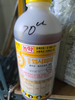 루첸님의 자유주제 · 자유게시판 작성글 사진