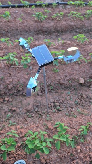 전순덕.동신유통님의 작성글 사진