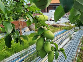 이종선회원님의 자유주제 · 자유게시판 작성글 사진