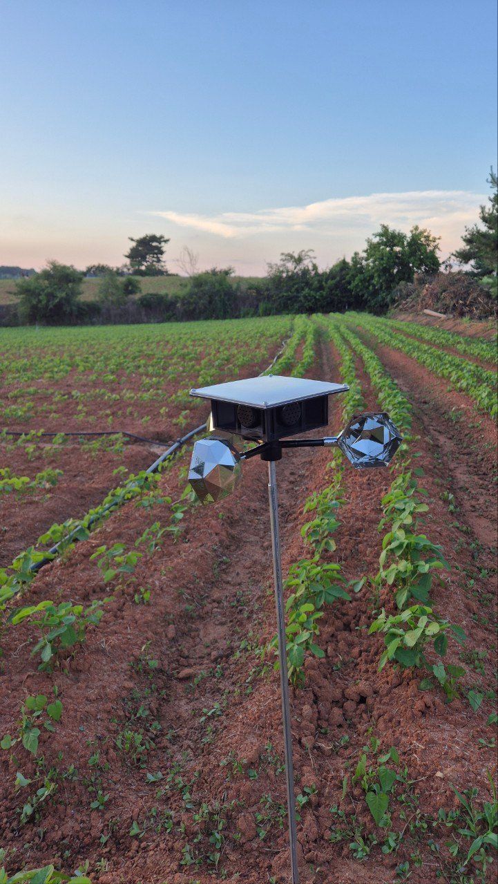 전순덕.동신유통님의 장터 판매 상품 [빅 점보 조류퇴치기] 첨부 사진