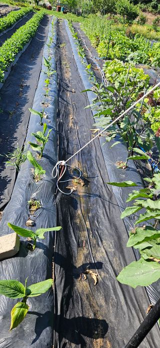 이충식님의 자유주제 · 자유게시판 작성글 사진