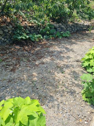 김용대님의 자유주제 · 자유게시판 작성글 사진