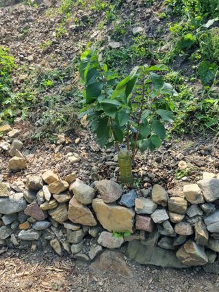 김용대님의 자유주제 · 자유게시판 작성글 사진