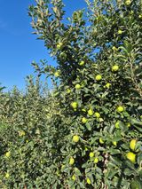 팜모닝 · 게시글 이미지