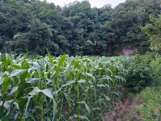 장관덕님의 자유주제 · 사진전 작성글 사진