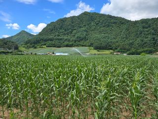 장관덕님의 자유주제 · 사진전 작성글 사진