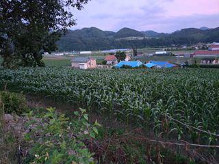 장관덕님의 자유주제 · 사진전 작성글 사진