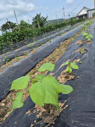 이정민님의 자유주제 · 자유게시판 작성글 사진