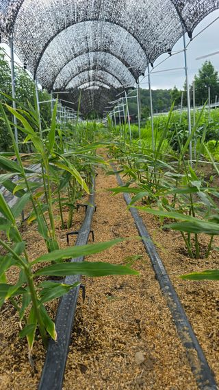하재은님의 자유주제 · 자유게시판 작성글 사진