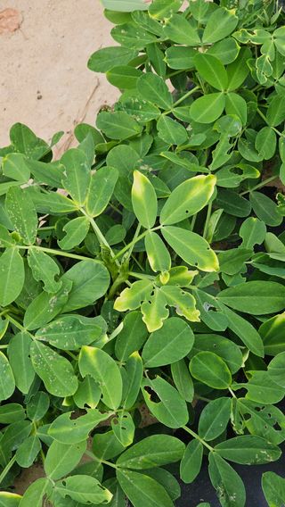 김은아님의 자유주제 · 자유게시판 작성글 사진