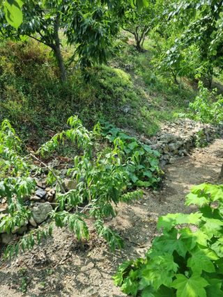 김용대님의 자유주제 · 자유게시판 작성글 사진