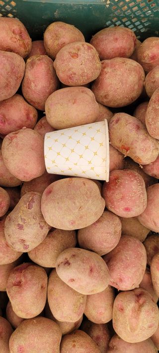 딸랑구와땡보님의 작성글 사진