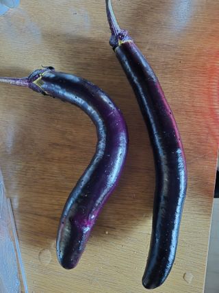 김정환님의 자유주제 · 자유게시판 작성글 사진