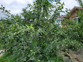 땅땅님의 자유주제 · 자유게시판 작성글 사진