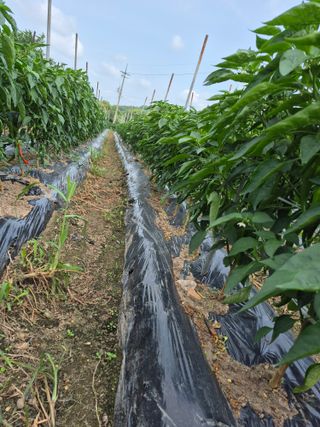 이정민님의 자유주제 · 자유게시판 작성글 사진