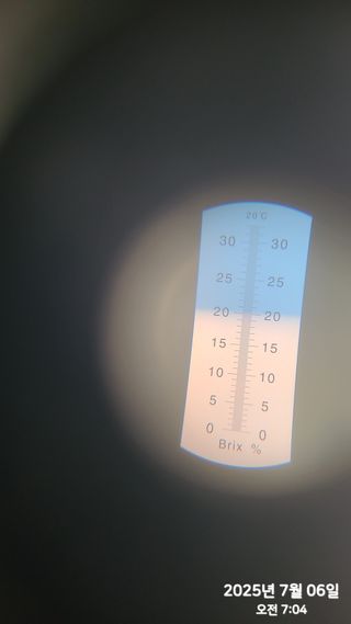 동우농장(김대욱)님의 복숭아 · 자유게시판 작성글 사진