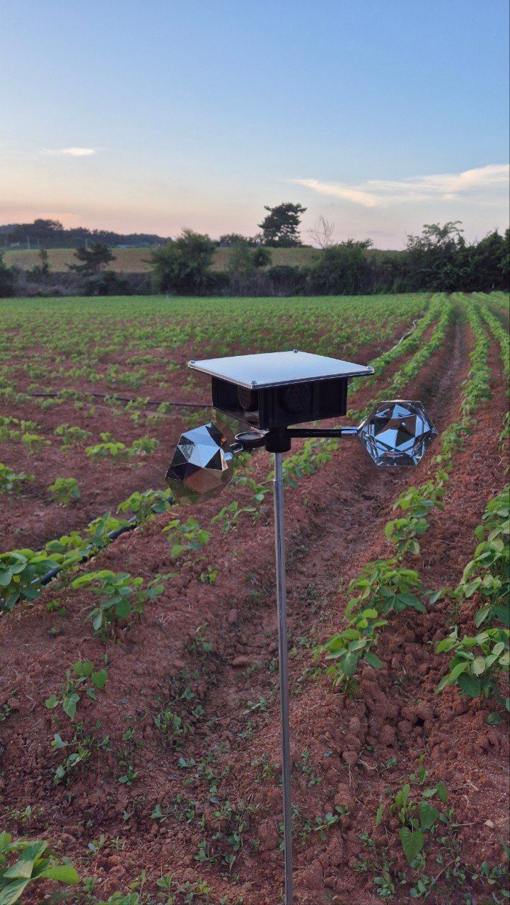전순덕.동신유통님의 장터 판매 상품 [빅 점보 조류퇴치기] 첨부 사진