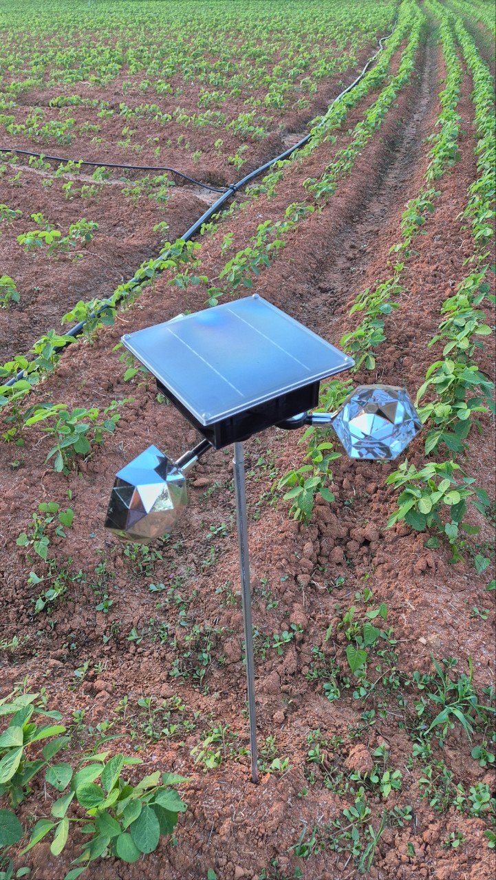 전순덕.동신유통님의 장터 판매 상품 [빅 점보 조류퇴치기] 첨부 사진