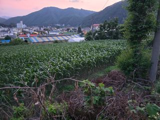 장관덕님의 자유주제 · 사진전 작성글 사진