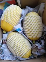 팜모닝 · 게시글 이미지