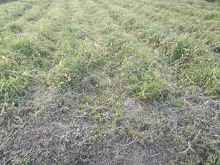 김민수산에서농사중님의 자유주제 · 자유게시판 작성글 사진