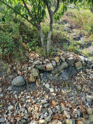 김용대님의 자유주제 · 자유게시판 작성글 사진