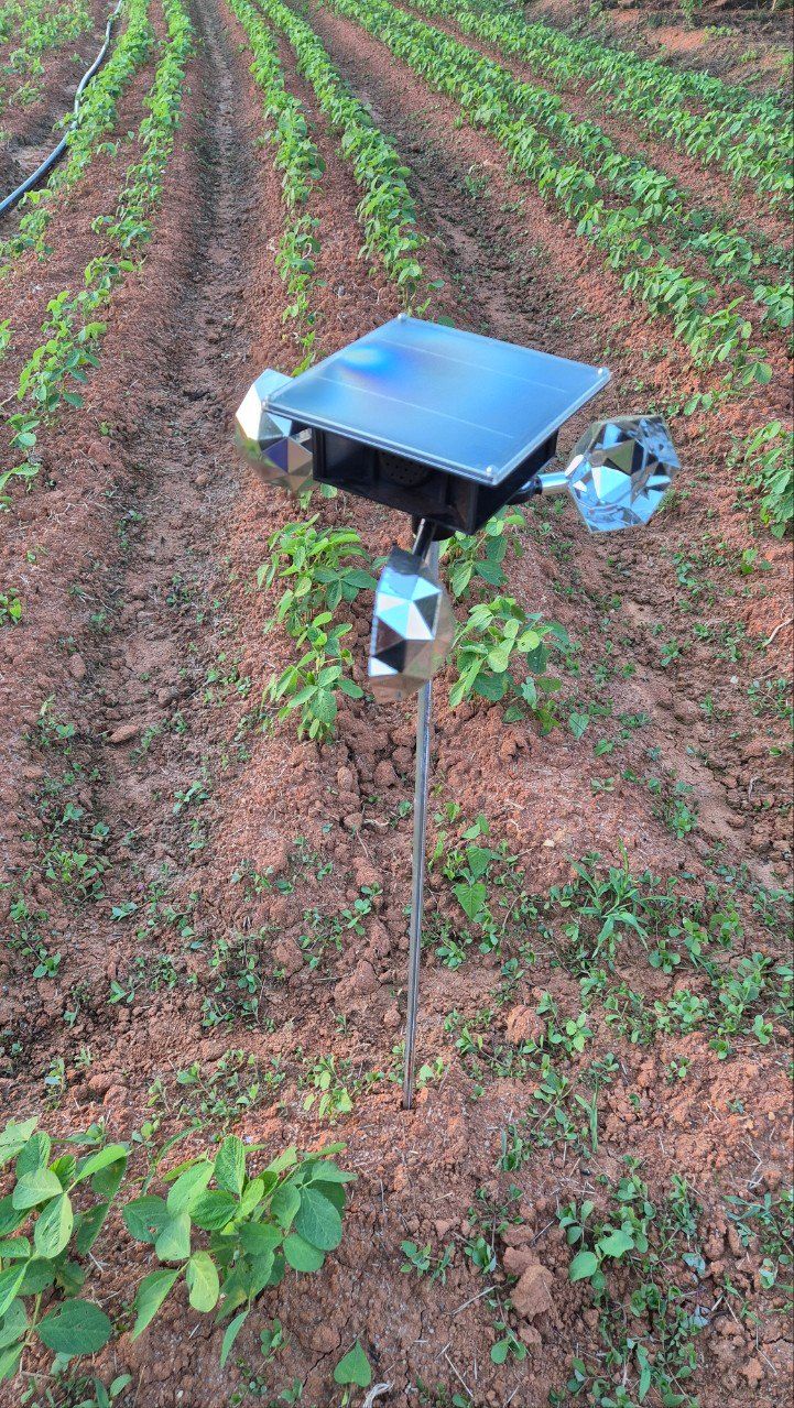 전순덕.동신유통님의 장터 판매 상품 [빅 점보 조류퇴치기] 첨부 사진