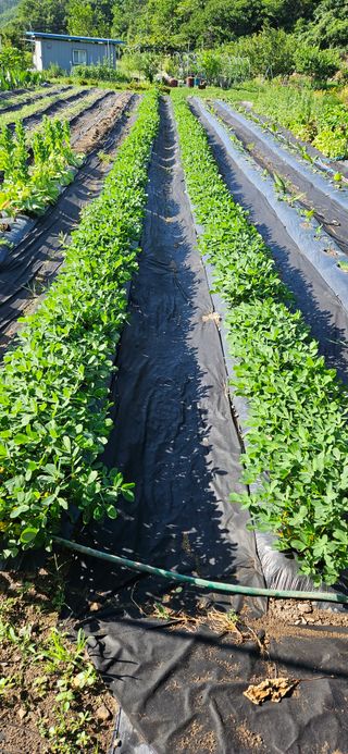 이충식님의 자유주제 · 자유게시판 작성글 사진