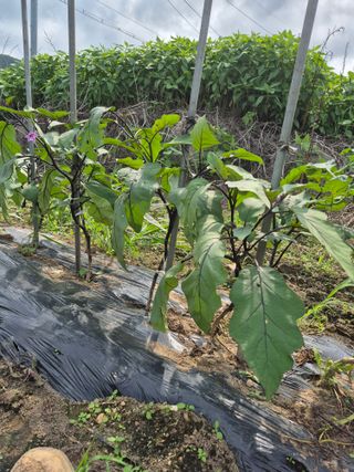 이정민님의 자유주제 · 자유게시판 작성글 사진