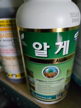 루첸님의 자유주제 · 자유게시판 작성글 사진