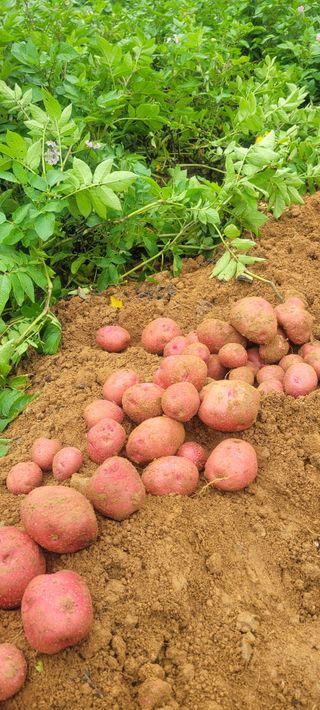 딸랑구와땡보님의 작성글 사진