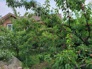 땅땅님의 자유주제 · 자유게시판 작성글 사진