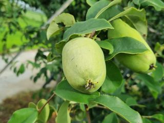 이종선회원님의 자유주제 · 자유게시판 작성글 사진