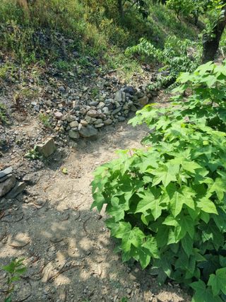 김용대님의 자유주제 · 자유게시판 작성글 사진