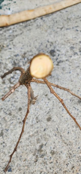 안뜰그랑님의 자유주제 · 자유게시판 작성글 사진