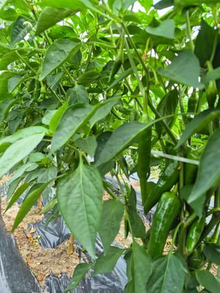 이정민님의 자유주제 · 자유게시판 작성글 사진