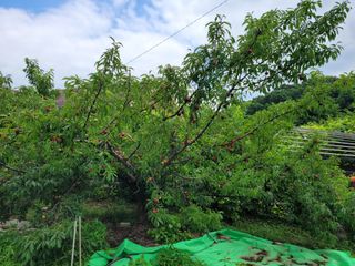 땅땅님의 자유주제 · 자유게시판 작성글 사진