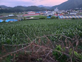 장관덕님의 자유주제 · 사진전 작성글 사진