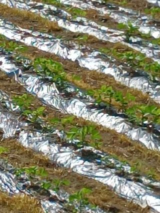 거촌어른님의 자유주제 · 자유게시판 작성글 사진