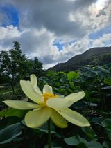 팜모닝 자유주제·자유게시판 게시글 이미지