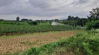 MSG0074님의 자유주제 · 자유게시판 작성글 사진