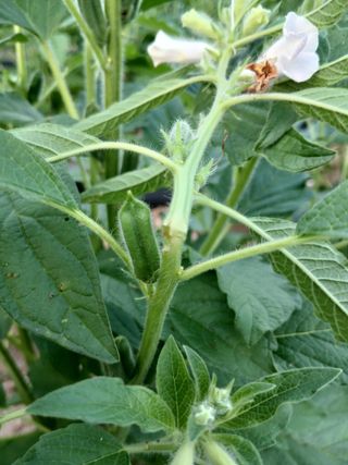 진일환님의 자유주제 · 자유게시판 작성글 사진