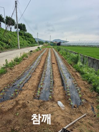 찬균park님의 자유주제 · 자유게시판 작성글 사진