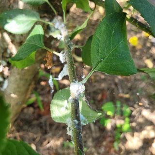 이창화님의 자유주제 · 자유게시판 작성글 사진